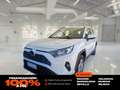 Toyota RAV 4 2.5l 220H Business Blanco - thumbnail 1