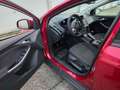Ford Focus Focus 1.0 EcoBoost (motor problemen) Rouge - thumbnail 7