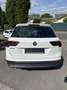 Volkswagen Tiguan Highline AHK/LED/Navi Wit - thumbnail 6