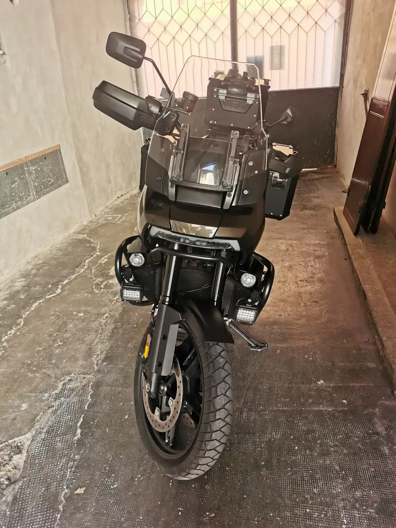 Harley-Davidson Pan America Bronz - 1