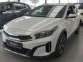 Kia XCeed 1.6 GDi PHEV Business Line DCT Wit - thumbnail 3