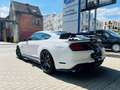 Ford Mustang VERKOCHT - SOLD - VENDU Blanc - thumbnail 3