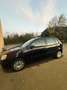 Volkswagen Polo Polo 5p 1.2 Comfortline 55cv - thumbnail 3