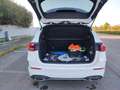 Mercedes-Benz B 200 AMG Premium-Tetto apribile-Tagliandi Mercedes Bianco - thumbnail 15
