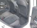 Mercedes-Benz B 200 AMG Premium-Tetto apribile-Tagliandi Mercedes Bianco - thumbnail 18