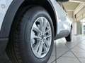 Ford Kuga 1.5 EcoBoost Titanium iACC,Winter Paket Weiß - thumbnail 9