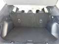Ford Kuga 1.5 EcoBoost Titanium iACC,Winter Paket Weiß - thumbnail 8
