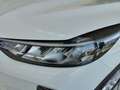 Ford Kuga 1.5 EcoBoost Titanium iACC,Winter Paket Weiß - thumbnail 10