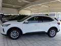 Ford Kuga 1.5 EcoBoost Titanium iACC,Winter Paket Weiß - thumbnail 12