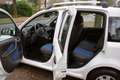 Fiat Panda 1.2 Edizione Cool Blanc - thumbnail 4