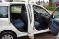 Fiat Panda 1.2 Edizione Cool Blanc - thumbnail 5