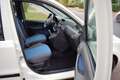 Fiat Panda 1.2 Edizione Cool Blanc - thumbnail 3