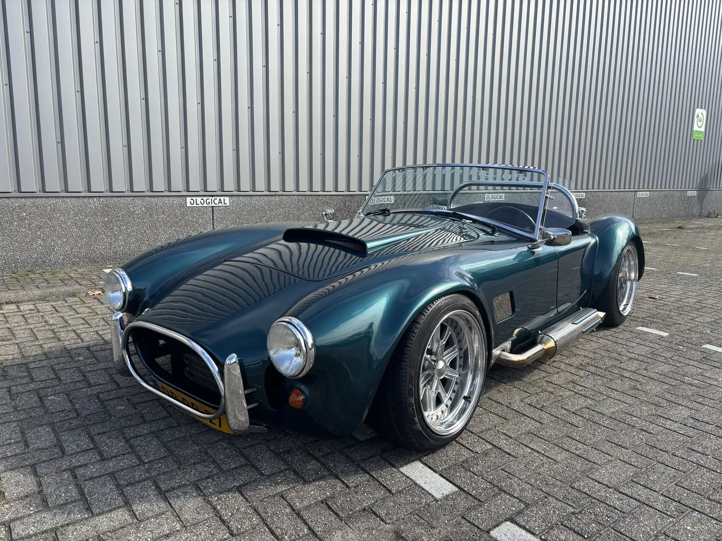AC Cobra DAX Cobra Grün - 2