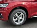 Audi Q5 2.0 TFSI qu. S-tronic sport MATRIX-LED+STANDH Rot - thumbnail 8