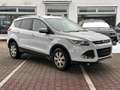 Ford Kuga 1.6 EcoBoost Trend *Sitzh.*Tempomat*LM* Weiß - thumbnail 5