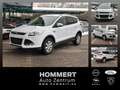 Ford Kuga 1.6 EcoBoost Trend *Sitzh.*Tempomat*LM* Weiß - thumbnail 1