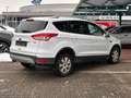 Ford Kuga 1.6 EcoBoost Trend *Sitzh.*Tempomat*LM* Weiß - thumbnail 6