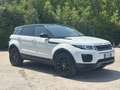 Land Rover Range Rover Evoque Range Rover Evoque I 2018 5p 2.0 td4 Business150cv Bianco - thumbnail 1