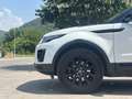 Land Rover Range Rover Evoque Range Rover Evoque I 2018 5p 2.0 td4 Business150cv Bianco - thumbnail 10