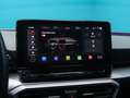 SEAT Leon 1.0 ETSI 110CV DSG-7 S&S FR 25 ANIV Gris - thumbnail 40