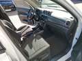 Suzuki Vitara 1,0 DITC Allgrip shine Weiß - thumbnail 13