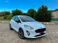 Ford Fiesta 1.5 ECOBLUE 86 CAVALLI ST-Line 5PORTE Bianco - thumbnail 6
