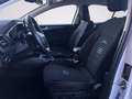 Ford Focus 1.0 EcoBoost Hybrid 125 CV 5p. Active Bianco - thumbnail 8