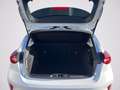 Ford Focus 1.0 EcoBoost Hybrid 125 CV 5p. Active Bianco - thumbnail 7
