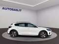 Ford Focus 1.0 EcoBoost Hybrid 125 CV 5p. Active Bianco - thumbnail 3