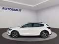 Ford Focus 1.0 EcoBoost Hybrid 125 CV 5p. Active Bianco - thumbnail 4