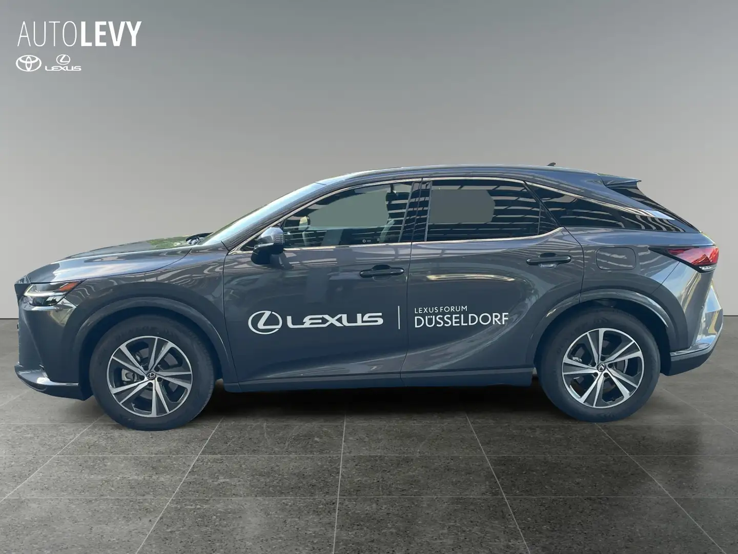 Lexus RX 450h +  E-Four Business Line FLA SpurH Grau - 2