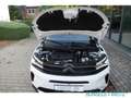 Citroen C5 Aircross Shine Pack Hybrid 225 Plug-In EU6d AIR SHINE+ PT22 Weiß - thumbnail 14