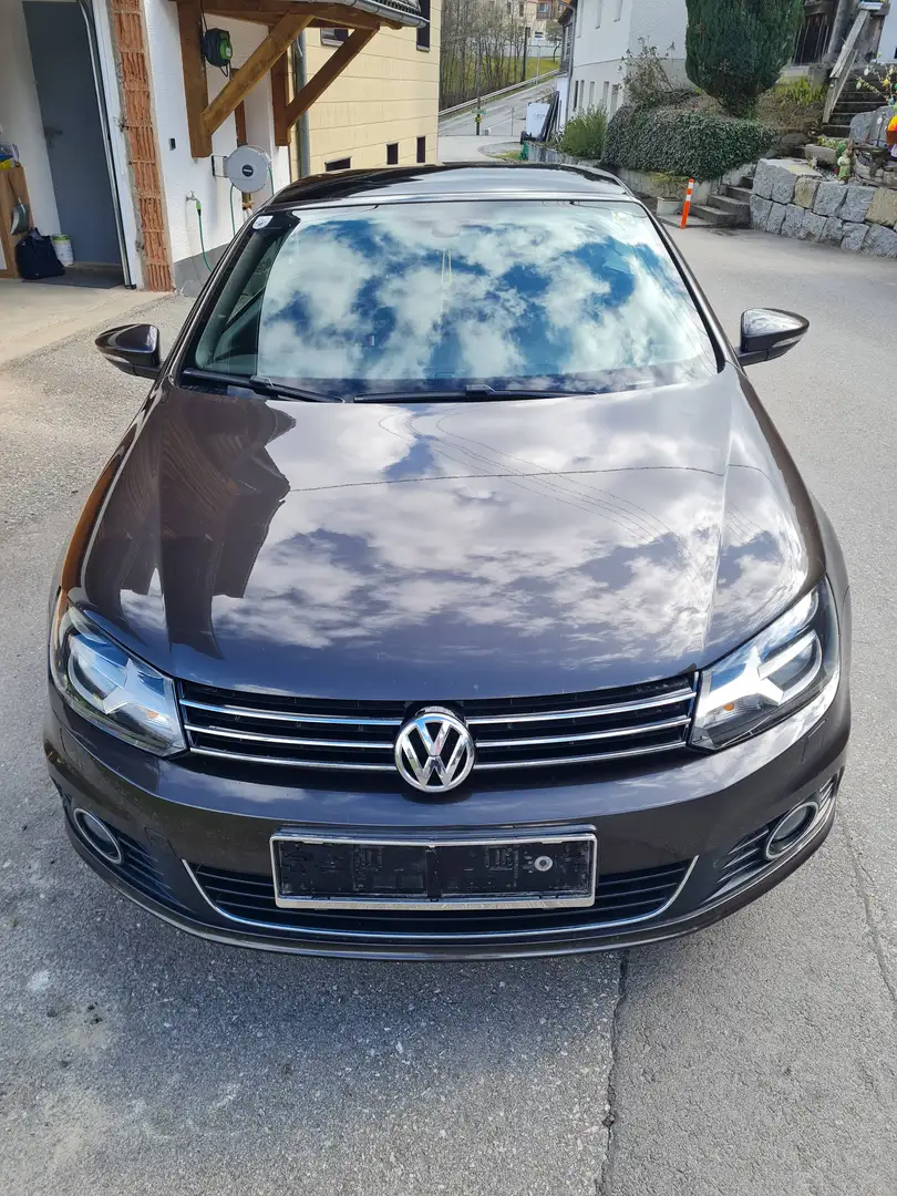 Volkswagen Eos Eos Sky 2,0 BMT TDI DPF DSG Sky Braun - 1