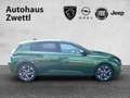 Peugeot 308 Allure BHDI 130 EAT8 Grün - thumbnail 7