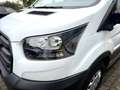 Ford Transit 350 L3 Trend/SYNC4/360"Kamera/ACC Wit - thumbnail 8