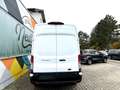 Ford Transit 350 L3 Trend/SYNC4/360"Kamera/ACC Wit - thumbnail 6