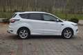 Ford Kuga 2,0 Aut. AWD+NAVI+XENON+AHK+TEL Weiß - thumbnail 6