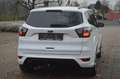 Ford Kuga 2,0 Aut. AWD+NAVI+XENON+AHK+TEL Weiß - thumbnail 5