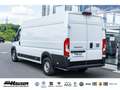 Fiat Ducato Kasten Serie 2 Maxi 35 L4H2 180 AT 6E SOFORT LADER Weiß - thumbnail 4