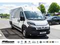 Fiat Ducato Kasten Serie 2 Maxi 35 L4H2 180 AT 6E SOFORT LADER Weiß - thumbnail 5
