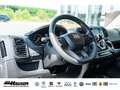 Fiat Ducato Kasten Serie 2 Maxi 35 L4H2 180 AT 6E SOFORT LADER Weiß - thumbnail 13