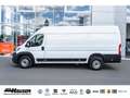 Fiat Ducato Kasten Serie 2 Maxi 35 L4H2 180 AT 6E SOFORT LADER Weiß - thumbnail 2