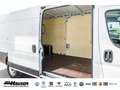 Fiat Ducato Kasten Serie 2 Maxi 35 L4H2 180 AT 6E SOFORT LADER Biały - thumbnail 9