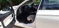 BMW 316 Serie 3 F31 2012 Touring 316d Touring Modern Bianco - thumbnail 1