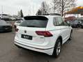 Volkswagen Tiguan Highline R-LINE 2.0 TSI LED KAMERA ACC Bianco - thumbnail 5