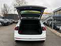 Volkswagen Tiguan Highline R-LINE 2.0 TSI LED KAMERA ACC Blanc - thumbnail 8