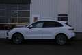 Porsche Cayenne 3.0 E-Hybrid 462PK Plug in*Perfect Onderh.*Luchtve Wit - thumbnail 45