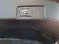 Ford Puma ST Gold Edition - Fahrerassistenz- & Performance-P Schwarz - thumbnail 13