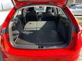 Skoda Scala Selection Rot - thumbnail 13
