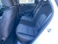 Kia Ceed SW / cee'd SW Ceed SW 1.5 T-GDI DCT7  Vision Navi Komfort+ ACC N Blanc - thumbnail 13